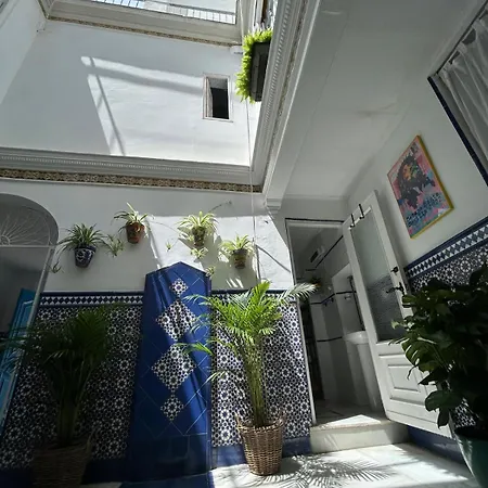 Un Patio En La Alameda Seville